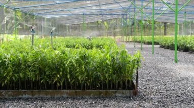 Makine stop su serpme