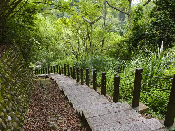 Escadaria que conduz através da floresta — Fotografia de Stock