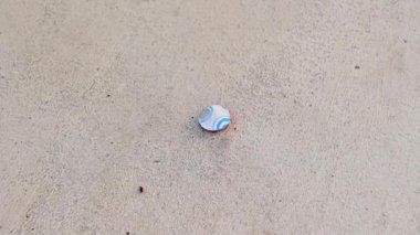 Havai fişek ateşlemenin yavaş hareketi