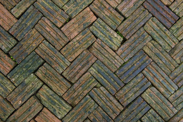 Brick floor with plants — Stock Photo, Image