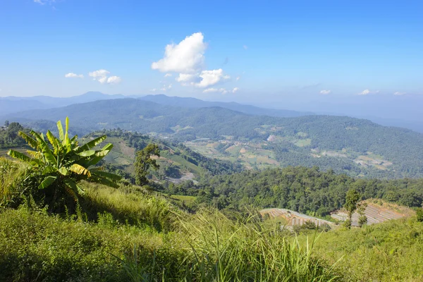 Mountain in the tropical forest — Stock Photo, Image