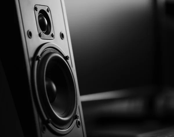 İki yönlü hoparlör