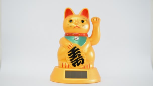 Oriental waving cat — Stock Video