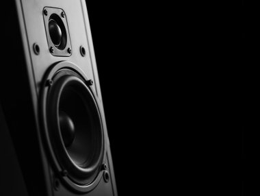 İki yollu hoparlör