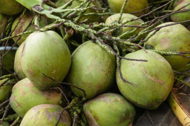 Pazarda satılmaya hazır hindistan cevizi yığını.