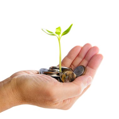 ağaç sikke yığını gelişen el