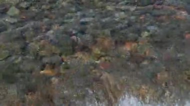 4K sığ sahil dalgaları kayalık deniz tabanını yıkıyor.