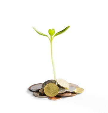 Sikke ve bitki ile büyüyen yatırım