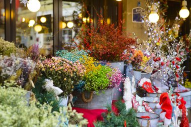 Çiçek çiçekçi dükkanı dışında Satılık