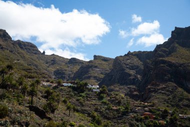 Tenerife Adası, Kanarya Adası İspanya 'da sihirli bir yer.