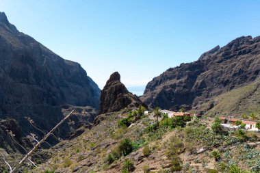 Tenerife Adası, Kanarya Adası İspanya 'da sihirli bir yer.