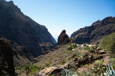 Tenerife Adası, Kanarya Adası İspanya 'da sihirli bir yer.