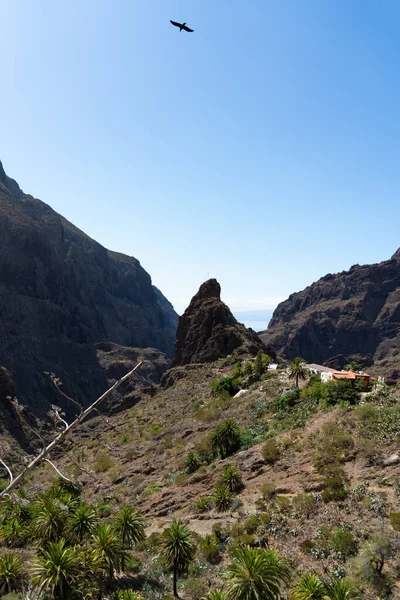 Tenerife island, a magic place in the canary island spain