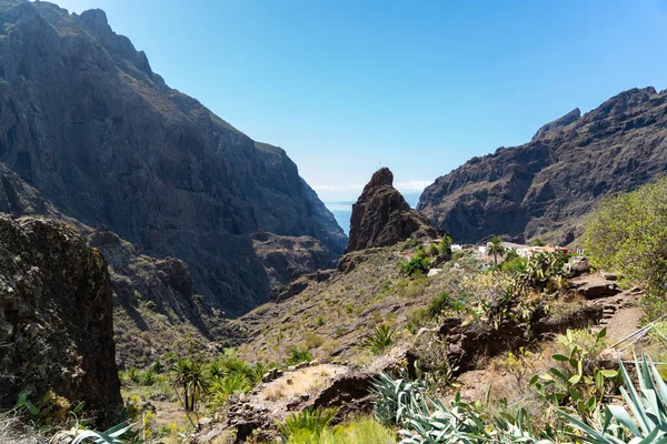 Tenerife island, a magic place in the canary island spain