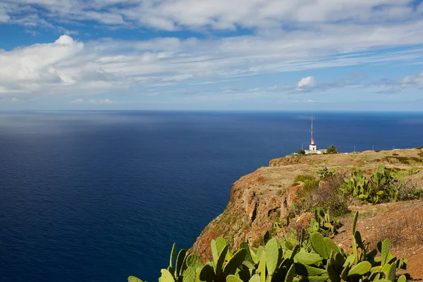 Madeira adasının harika renkleri