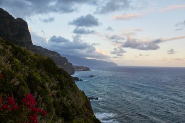 Madeira adasının harika renkleri