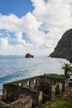 Madeira adasının harika renkleri