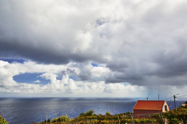Madeira adasının harika renkleri