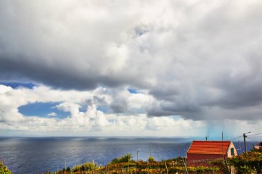 Madeira adasının harika renkleri