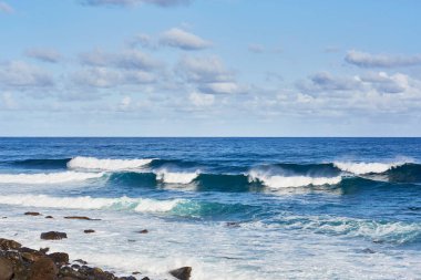 Madeira adasının harika renkleri