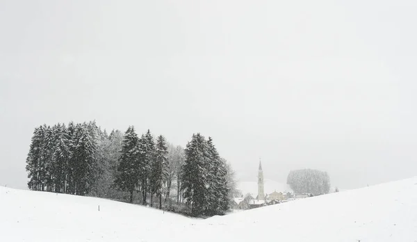 Altopiano di Asiago 'da kış mevsimi manzarası