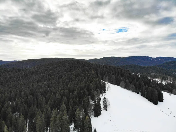 Altopiano di Asiago, Vicenza, Veneto, İtalya 'da karlı manzara