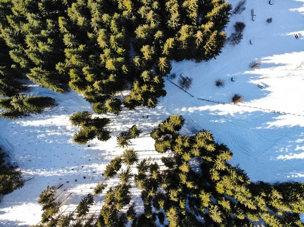 Altopiano di Asiago, Vicenza, Veneto, İtalya 'da karlı manzara