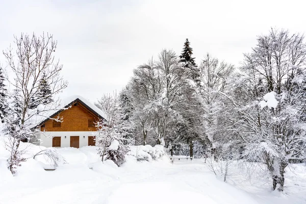 Altopiano di Asiago 'da karlı bir arazide kır evi.