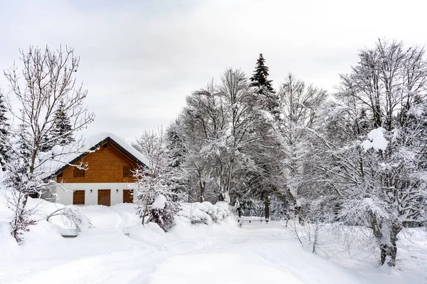 Ferienhaus Einer Verschneiten Landschaft Altopiano Asiago — Stockfoto