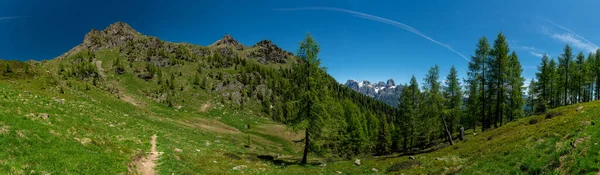 Val Pisorno Primiero Trentino Alto Adige — 图库照片