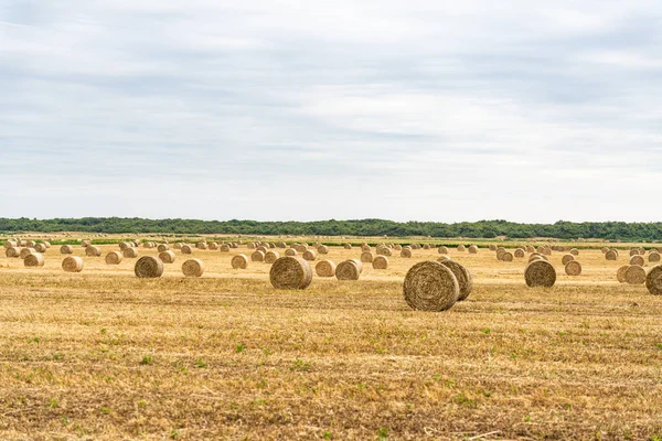 Lato Tuscany Piłeczki Siana Polu — Zdjęcie stockowe