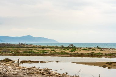 Deniz kenarındaki Maremma Parkı 'nın muhteşem manzarası