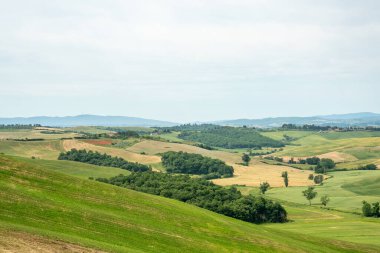 Sayın Val d 'Orcia Toskana, İtalya
