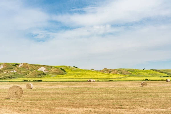 Καλοκαίρι Στο Tuscany Και Μπάλες Άχυρο Στα Χωράφια — Φωτογραφία Αρχείου