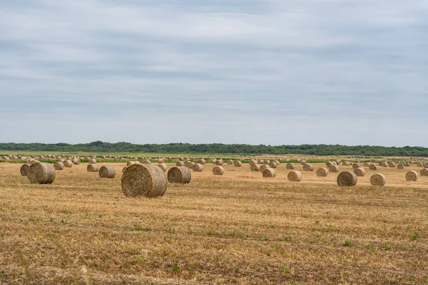 Été Tuscany Balles Foin Dans Les Champs — Photo