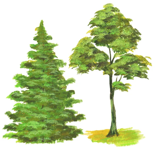Drzewa Malowane Farbami Pędzlem Izolować Białym Tle — Zdjęcie stockowe