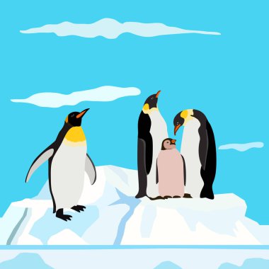 arka plan mavi renklerde, penguenler buzdağında