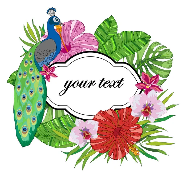 Banner Für Text Grußkarte Mit Tropischen Blumen Und Blättern Pfau — Stockvektor