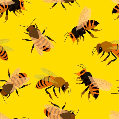 Arıları, duvar kağıtlarını, ambalaj kağıtlarını gösteren parlak renklerde kusursuz desenler.