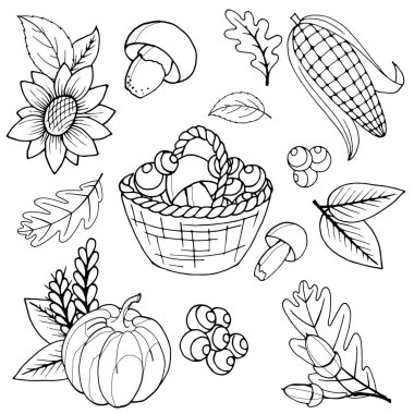 Vektör stoku çizimi, siyah beyaz elementler kümesi, boyama kitabı, sonbahar yaprakları, meşe palamutları, balkabağı, beyaz arka planda izole edilmiş.