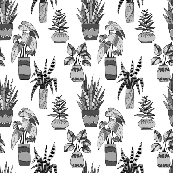 Motif Sans Couture Dans Des Couleurs Monochromes Cactus Plantes Intérieur — Image vectorielle