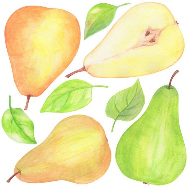 suluboya, olgun armut ve yapraklı elementler dizayn için beyaz bir arkaplanda izole edilir.