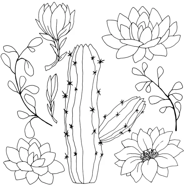 Svart Och Vit Linjär Ritning Kaktus Och Blommor Vektor Illustration — Stock vektor