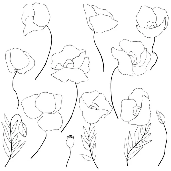 Set Vector Illustrations Images Flowers Black White Isolate — Stock Vector