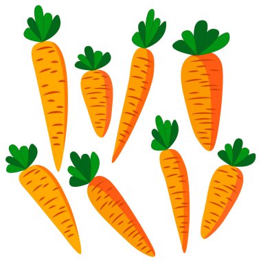 Havuç çizmek, beyaz arkaplanda izole etmek, vektör çizimi, farklı tasarım için çizim
