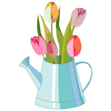 Vektör illüstrasyonları, çaydanlıkta lale çiçekleri, broşür tasarımı ve selamlama için, beyaz bir arkaplanda izole