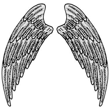 vektör illüstrasyonu, siyah beyaz, izole, tasarım elementleri, karalama biçimi olan bir çift kanadın doğrusal çizimi