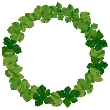 Üzüm yapraklı çerçeve, vektör illüstrasyonu, selamlama ve tasarım süsü, yeşil desenli