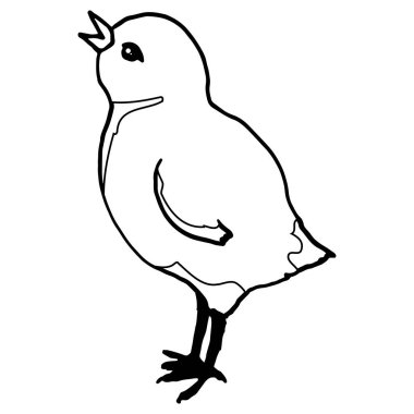 Tavuk karalama stili, basit vektör çizimi, tasarım için, doğrusal siyah desen, beyaz arka planda izole, paskalya çizimi