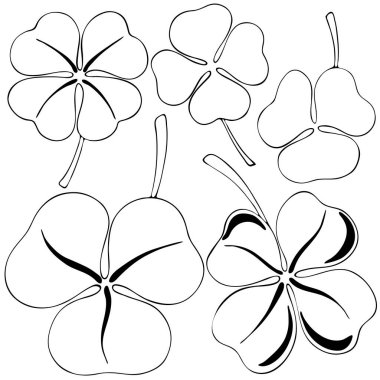 vektör illüstrasyonu, siyah ve beyaz yaprak resimleri, yonca, beyaz arkaplan üzerinde izole, farklı tasarım için, düz biçim simgesi